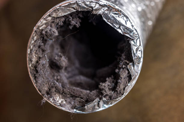 Best Air Duct Inspection  in Springville, IA