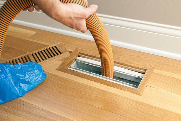 Air Duct Mold Removal in IA