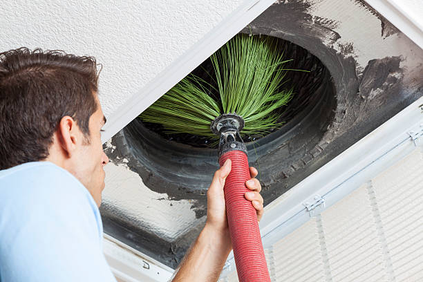 Best Professional Duct Cleaning Services  in Springville, IA