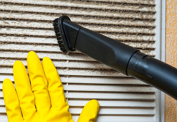 Best Professional Duct Cleaning Services  in Springville, IA